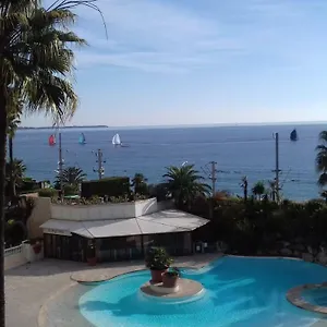 Palm D'azur Cannes